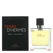Load image into Gallery viewer, Terre D' Hermes For Men by Hermes Parfum Spray