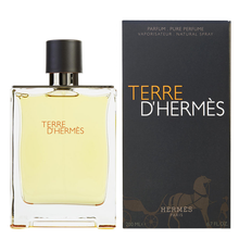 Load image into Gallery viewer, Terre D' Hermes For Men by Hermes Parfum Spray
