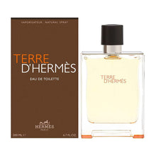 Load image into Gallery viewer, Terre D' Hermes For Men By Hermes Eau de Toilette Spray